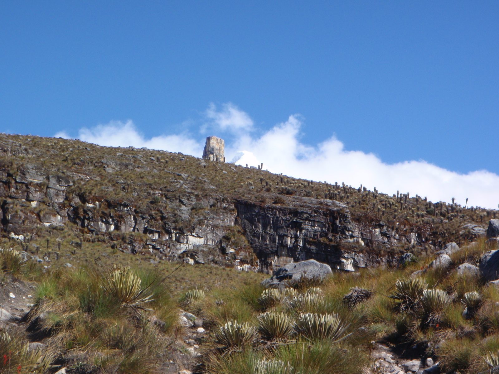 Pulpito, looming in the background.