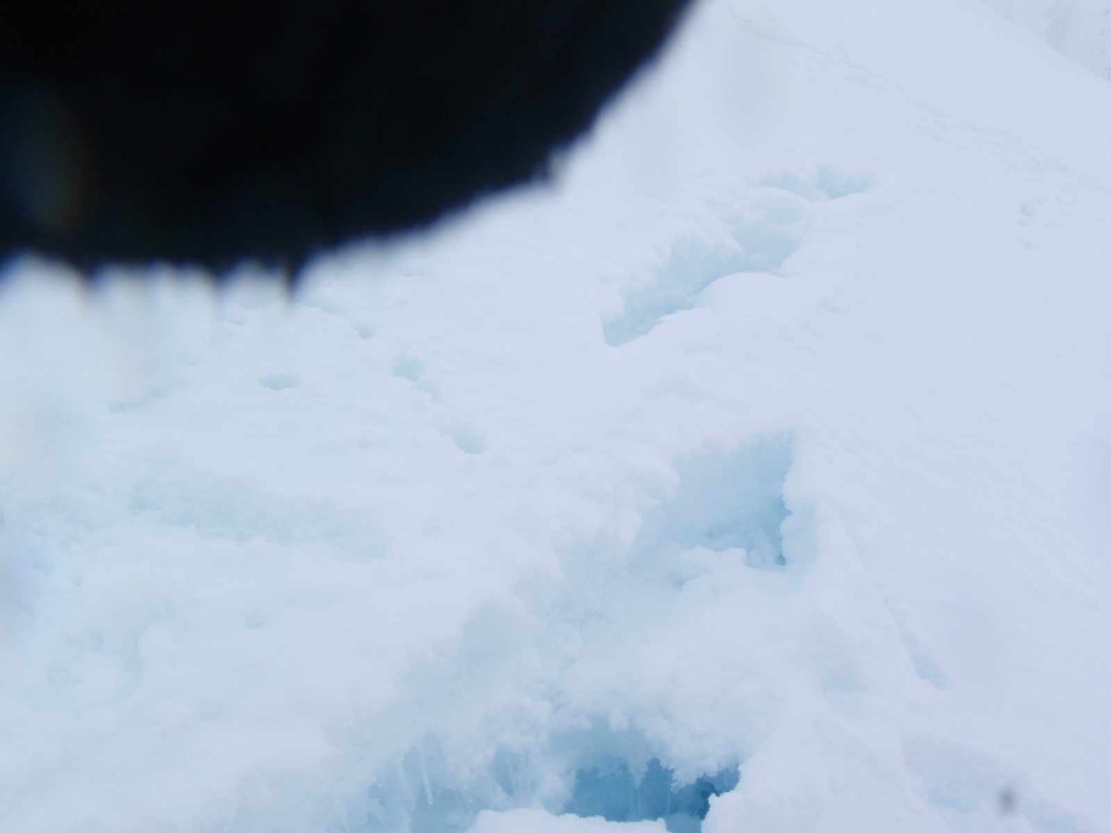Looking into a crevasse.  Sorry about my gloved finger in front of the lens.