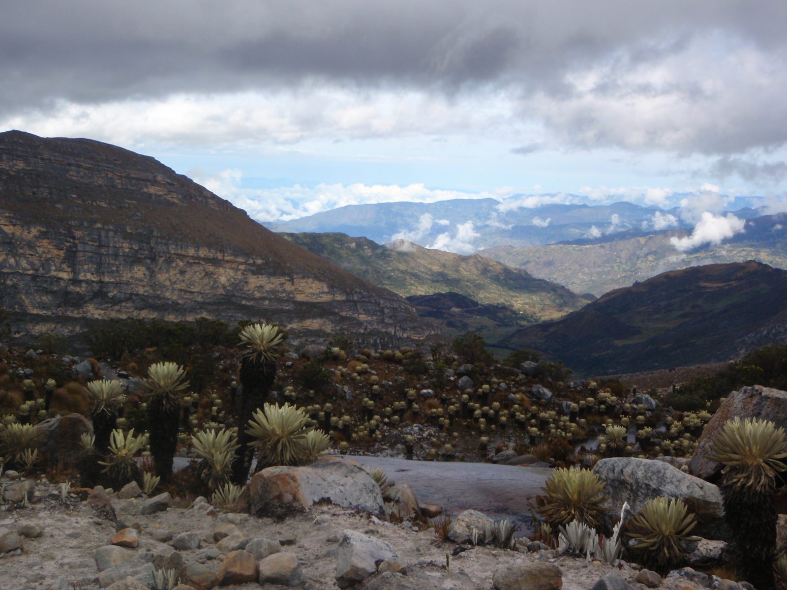 Valley of the frailejones, looking west.