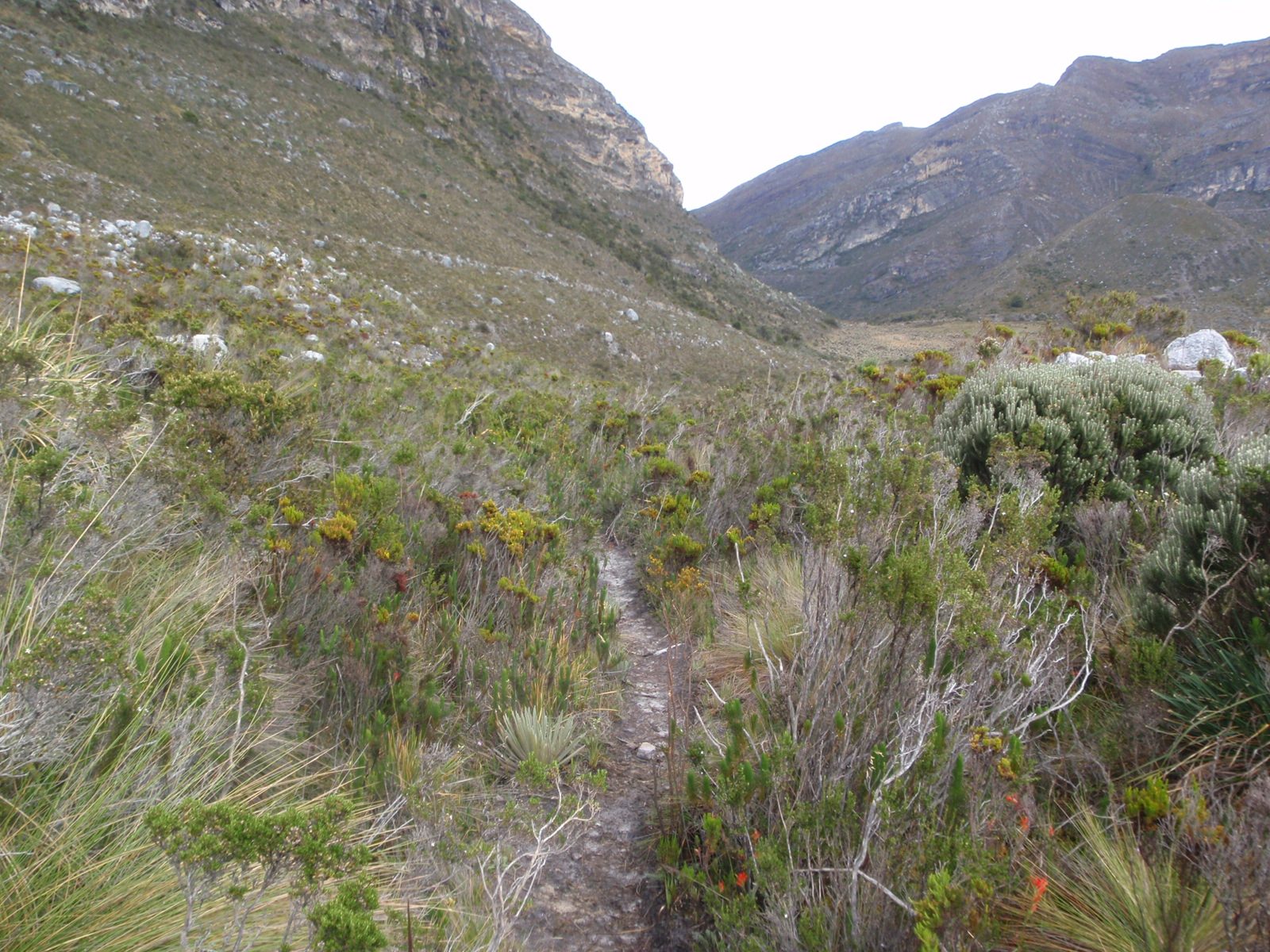 It is easy to believe Colombia is the second-most bio-diverse country on earth.  It seemed every...