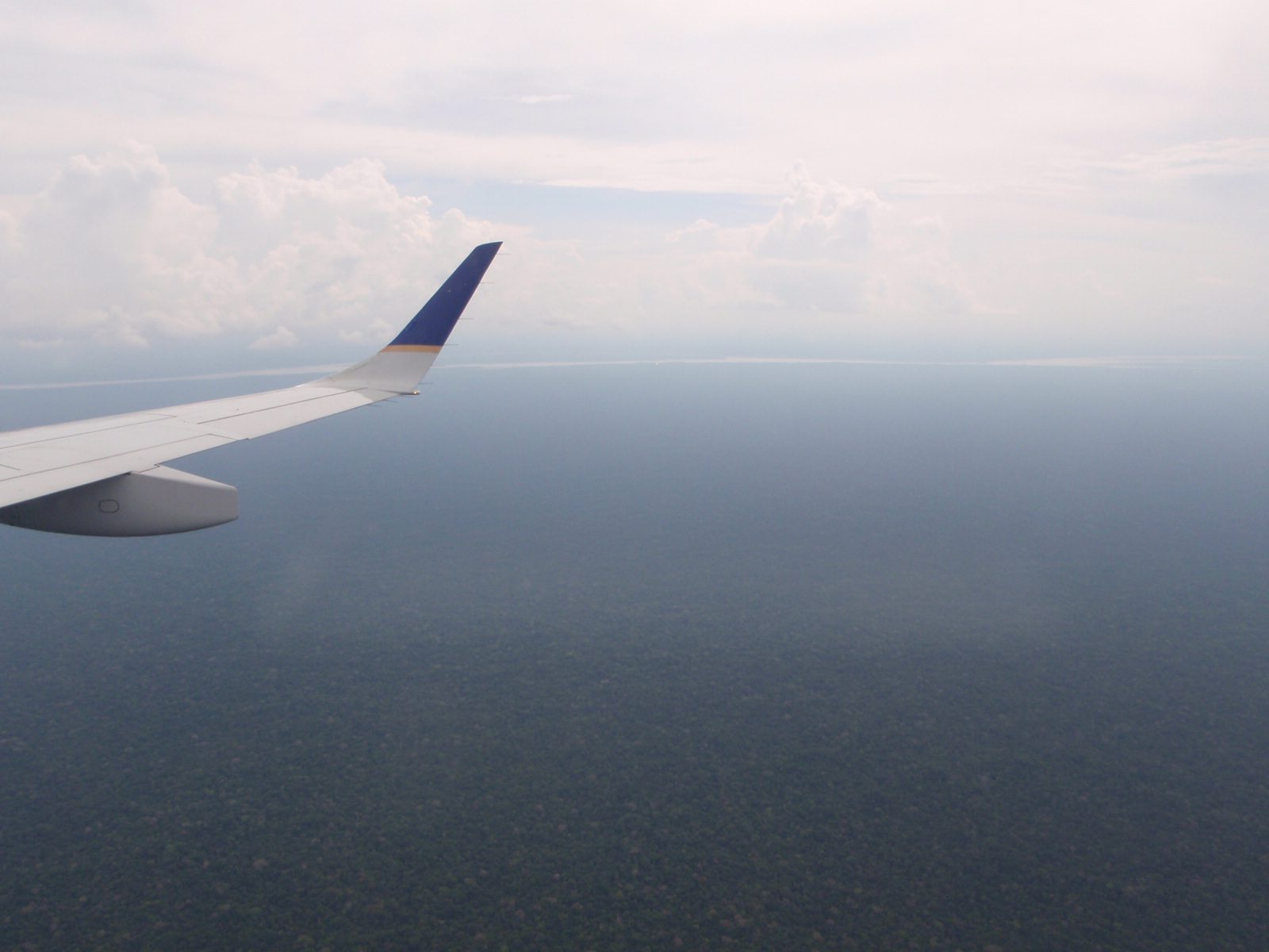 There are a lot of trees here. And it is very flat. We were surprised to learn Leticia is at...