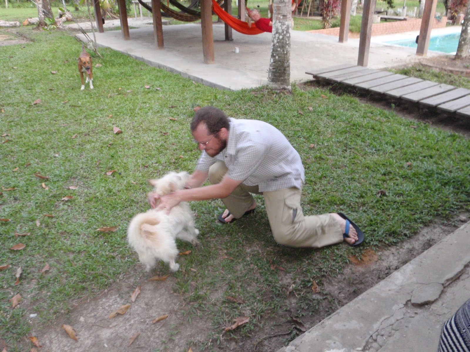 Joel plays with one of the dogs at our hostel. 