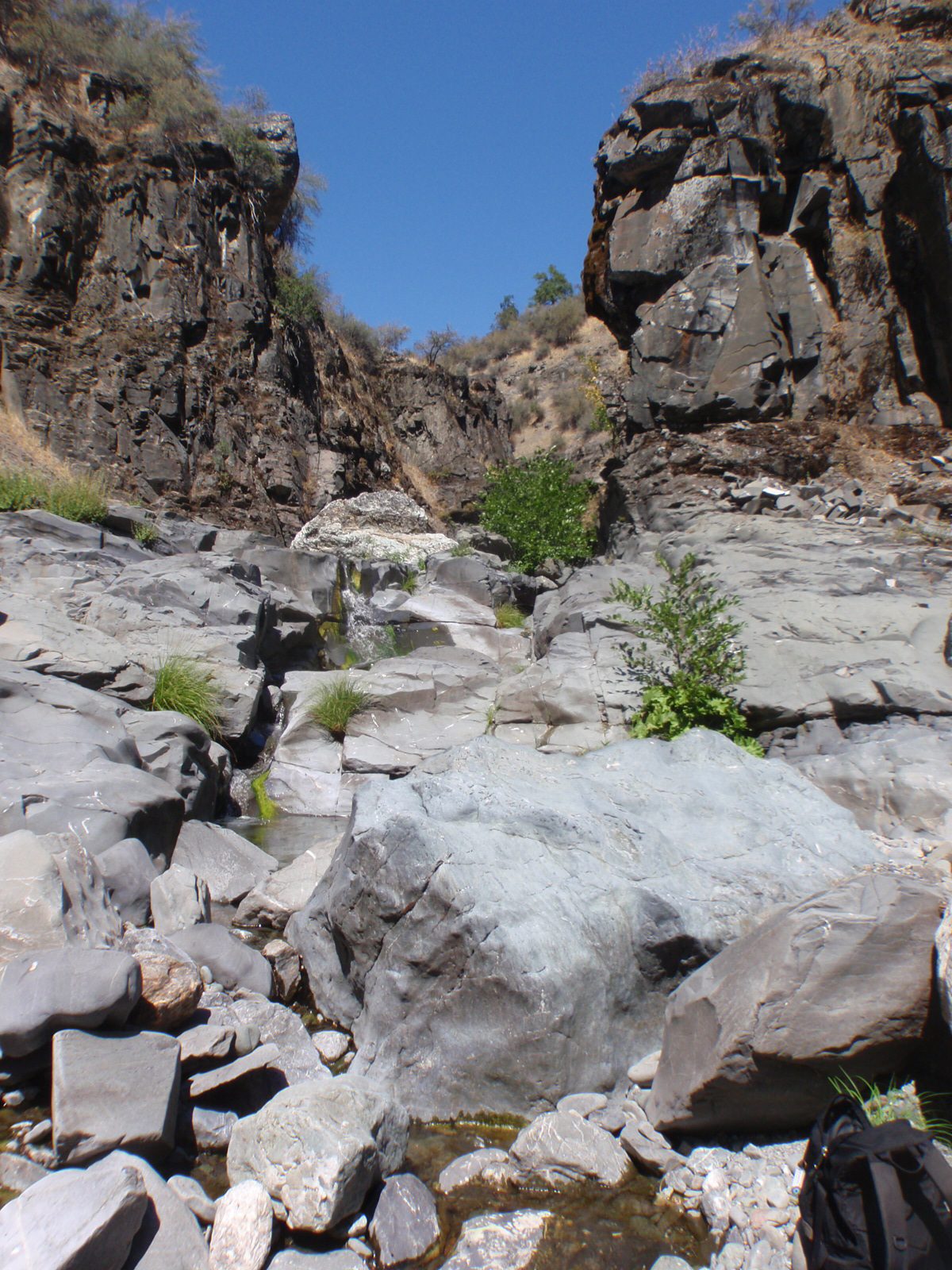 A view up-canyon from the second rappel station.