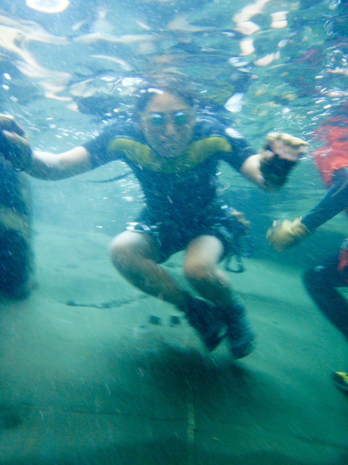 Monica, checking out Chris busy taking pictures under water.