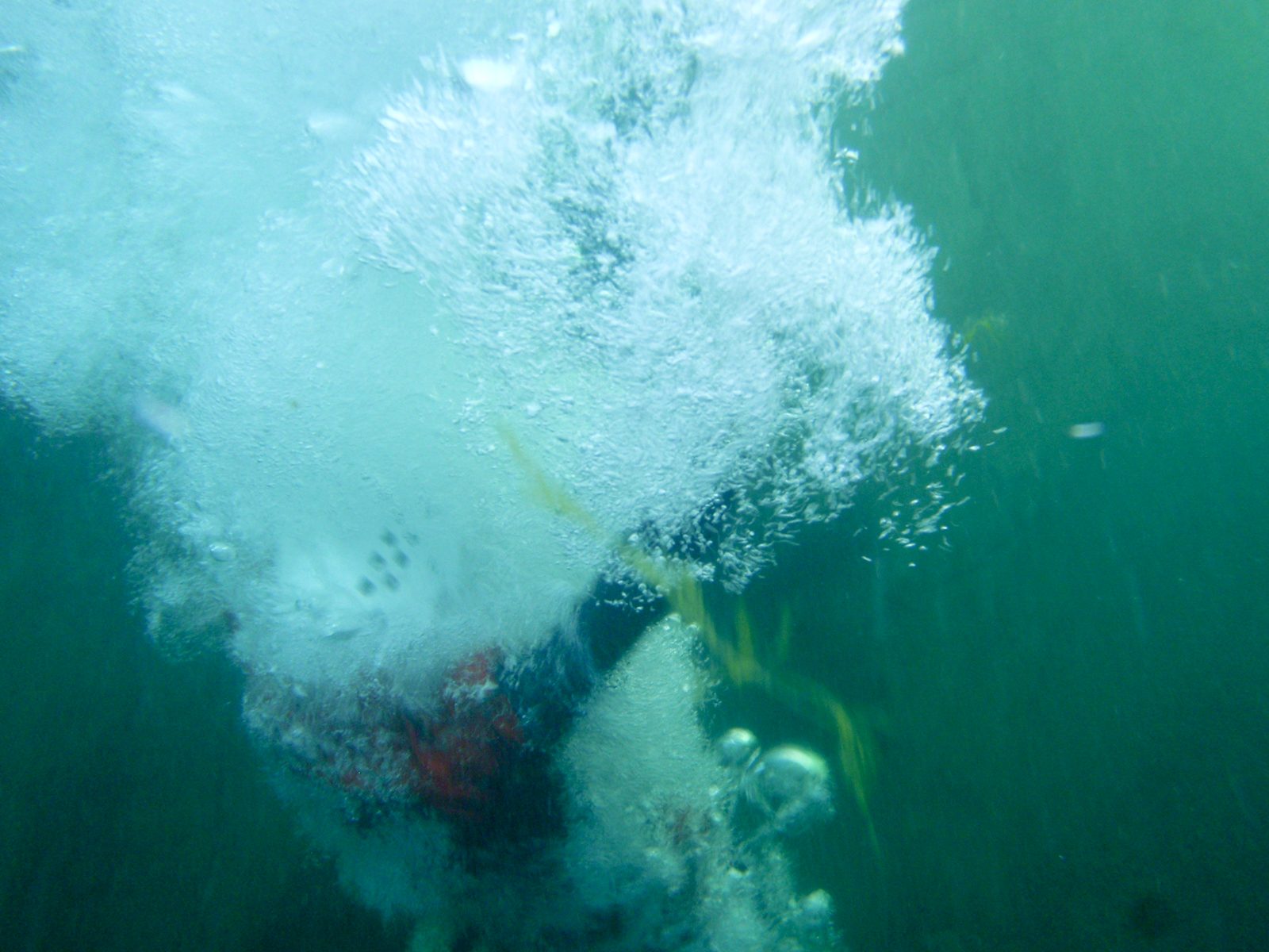 John, having just jumped off a 12 foot ledge.