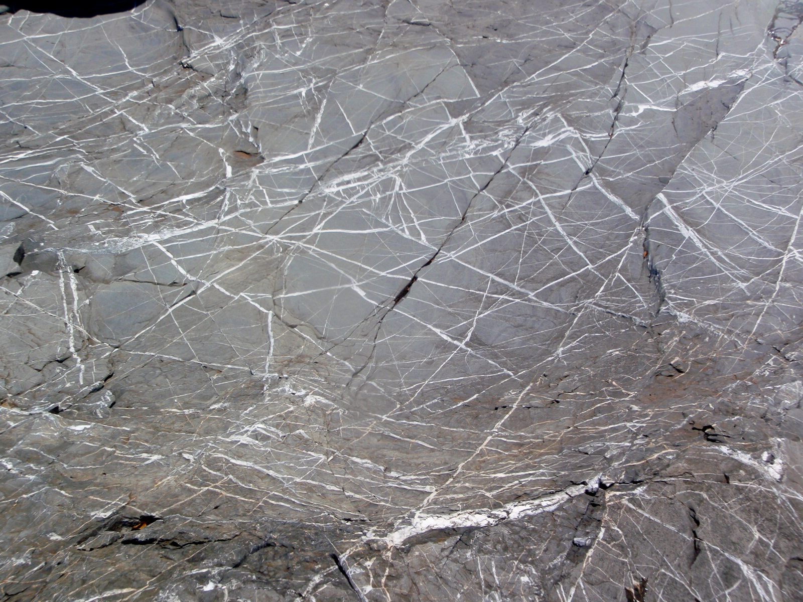These were the sorts of quartz veins that characterized the rock.  Very pretty, though I have no...