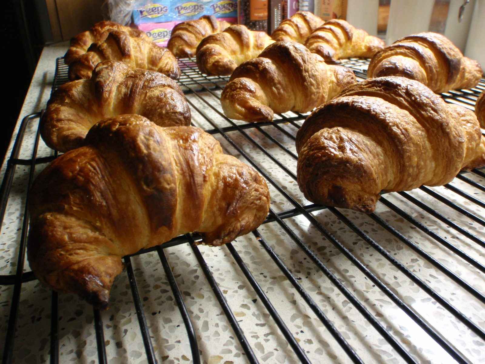 Croissants, fresh out of the oven on Monday night.  Monica and I started these on Friday night,...