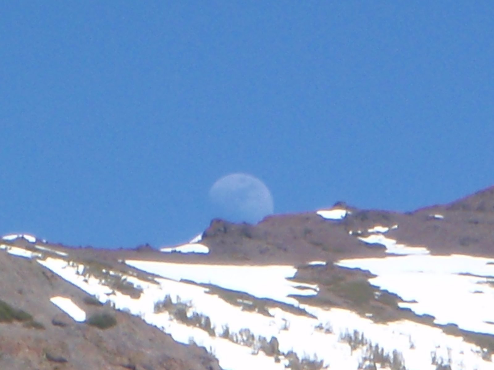 Not quite a full moon yet.