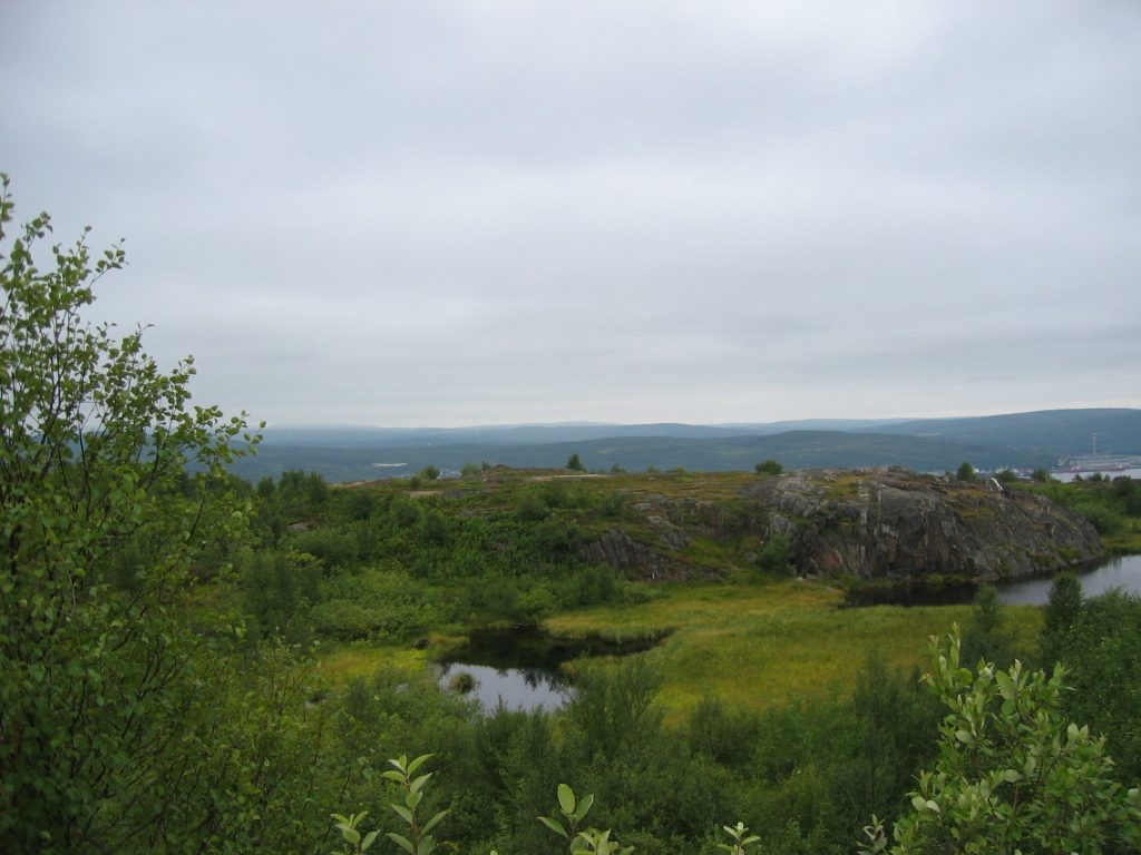 The scenery was actually quite pretty here.  Low green rolling hills and many wildflowers and...