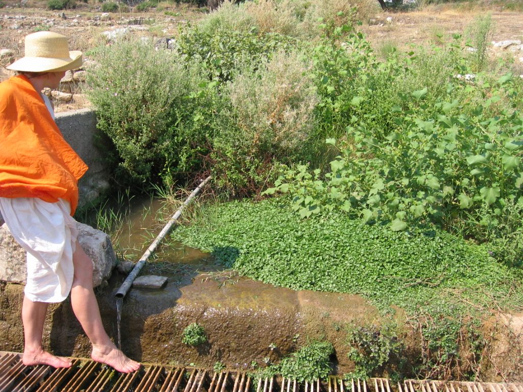 While wandering around Messene, Clea's mom discovered a grove of watercress, which was indeed...