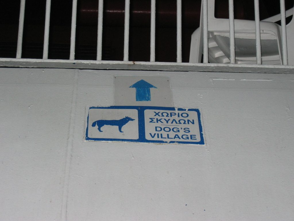 Even better than the disco or casino, was the Dog's Village on my ferry.