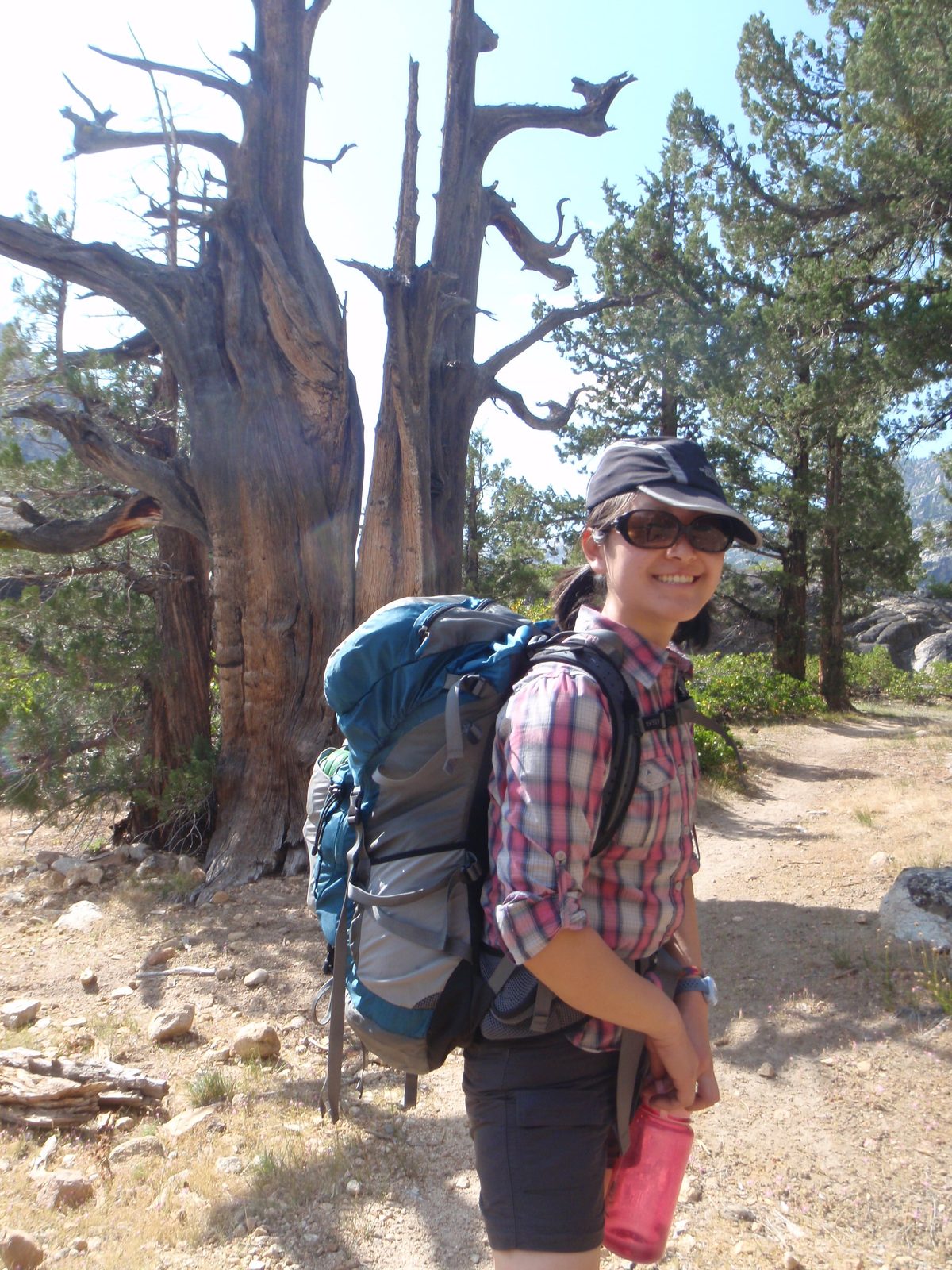 Monica and a gnarled dead tree.