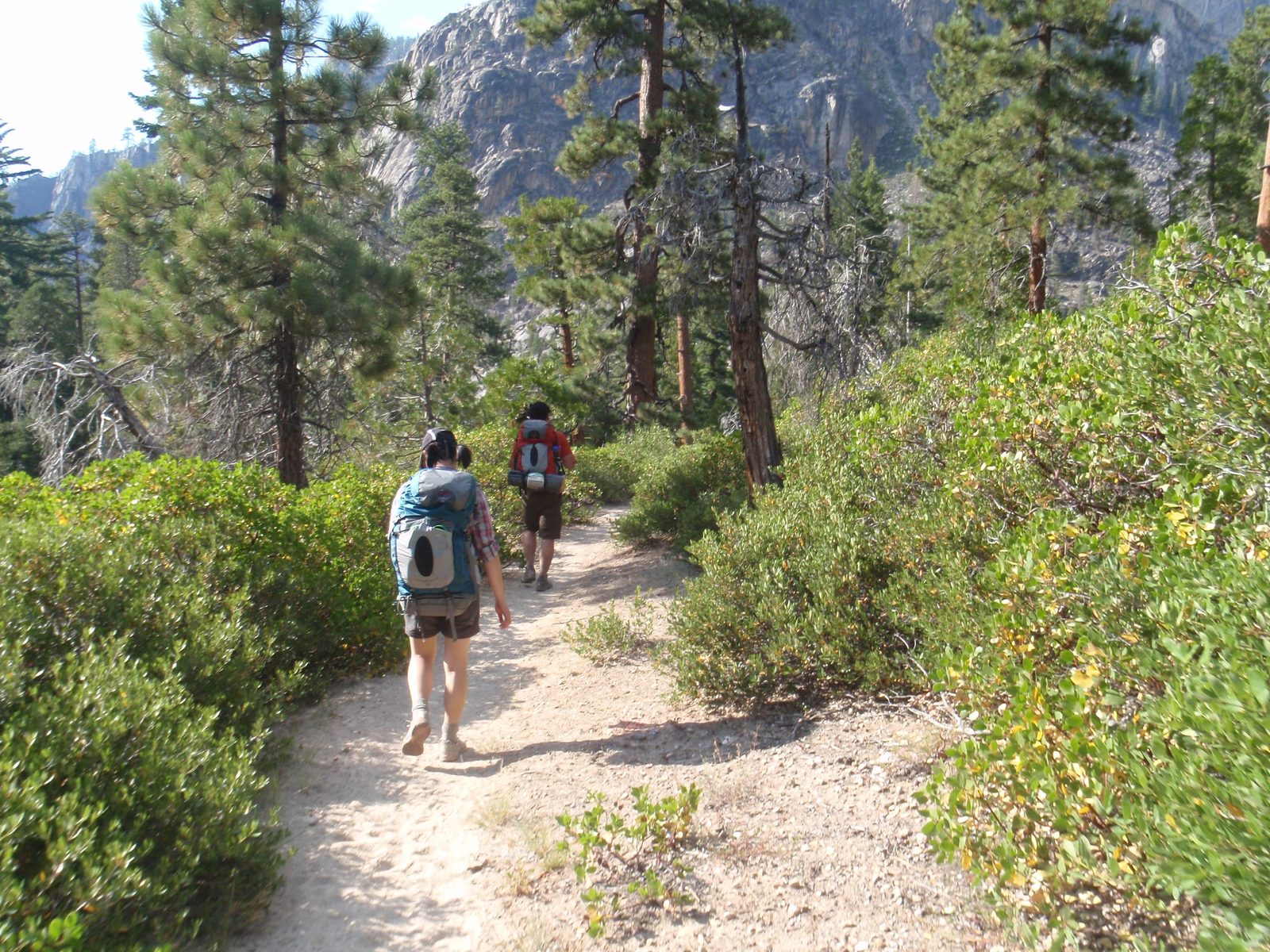 Hiking through manzanita.