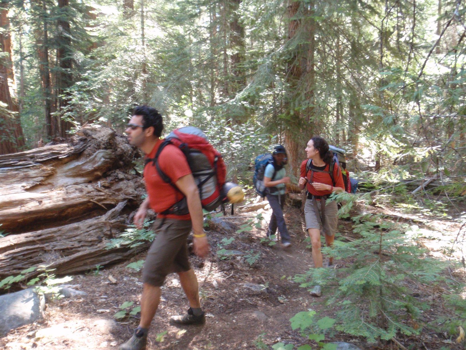 Marching through the woods, where there are these annoying gnats that fly into your eyes. Once...