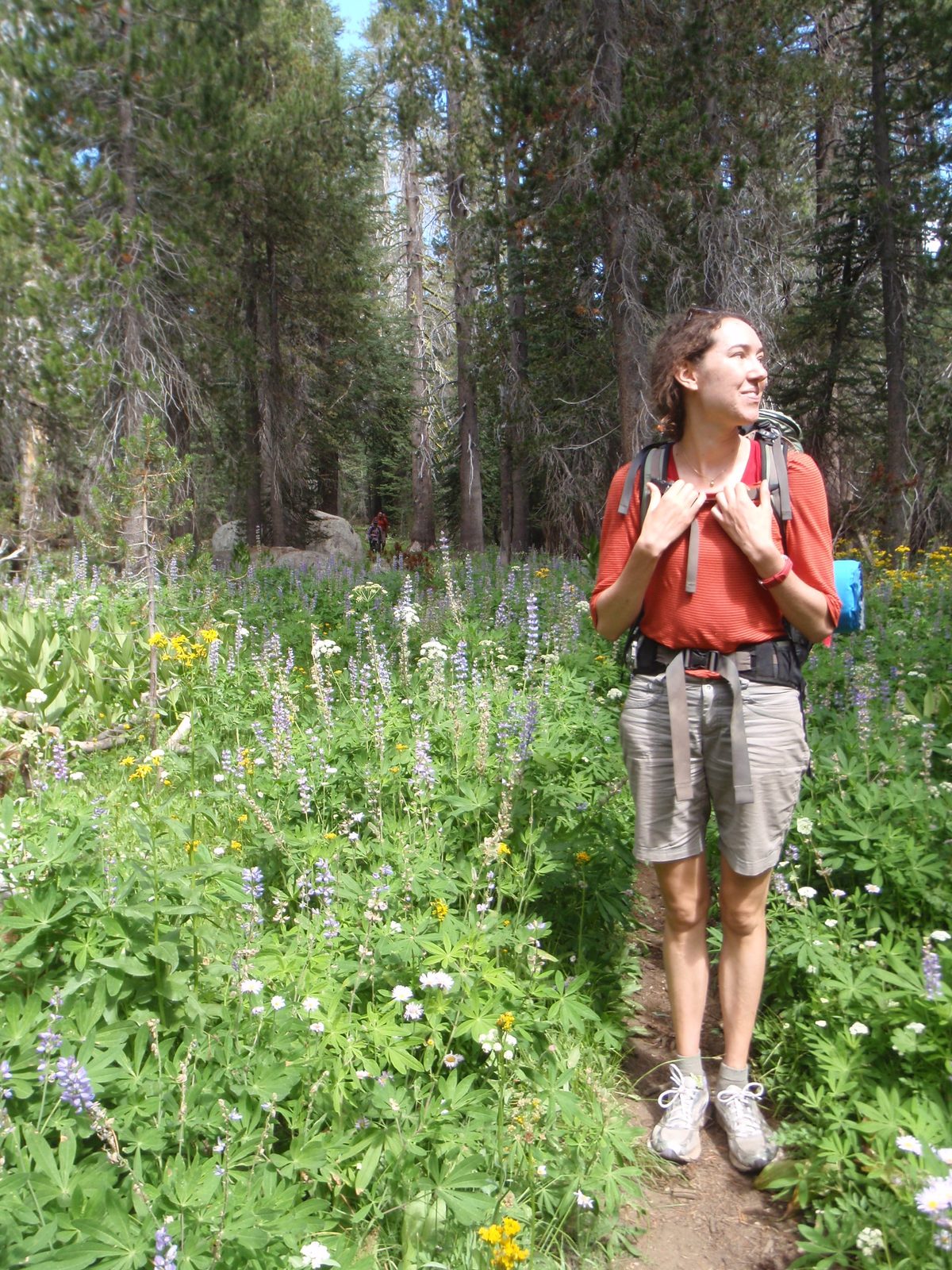 We were treated to miles of wildflowers on the last stretch of the hike.