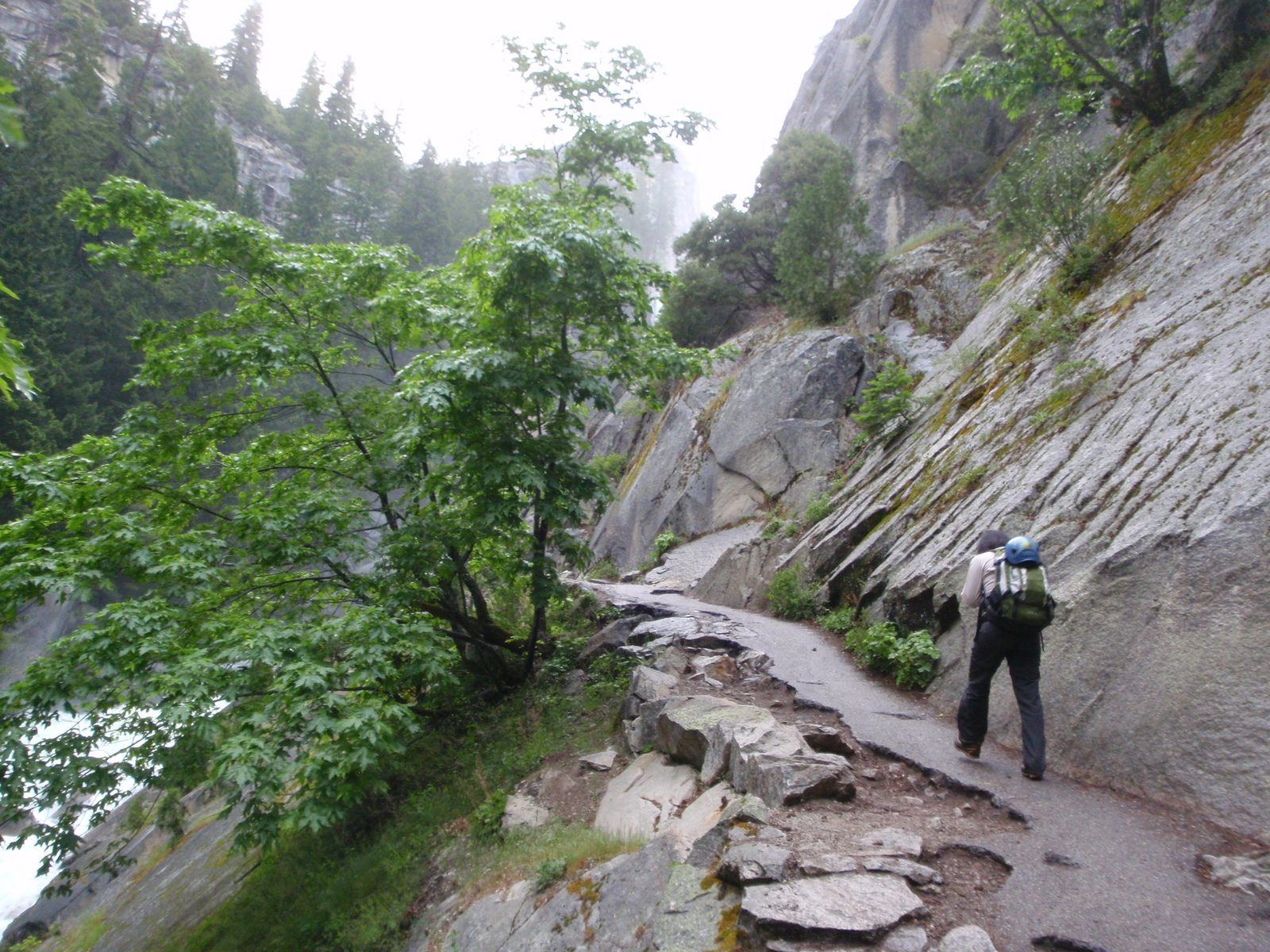Monica and I hatched a plan to climb Half Dome on Friday June 25. All of the planets seemed to...