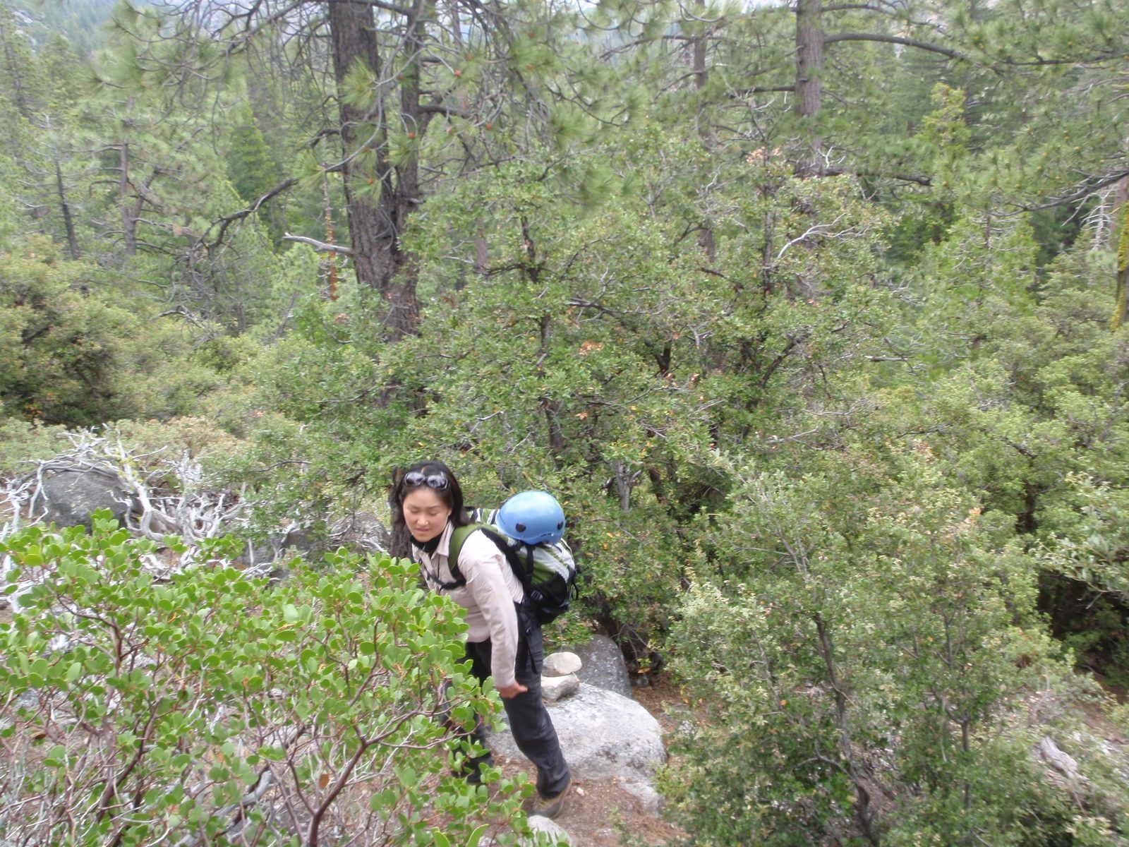 Monica and I hiked on a small climbers' trail marked with intermittent cairns past Lost Lake,...