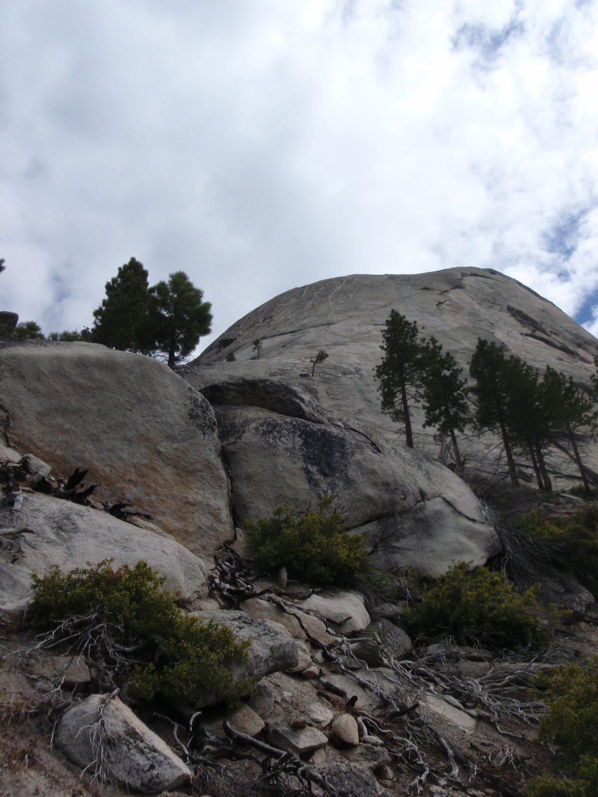 Our planned route up half dome. The route is called Snake Dike because it follows this salmon...