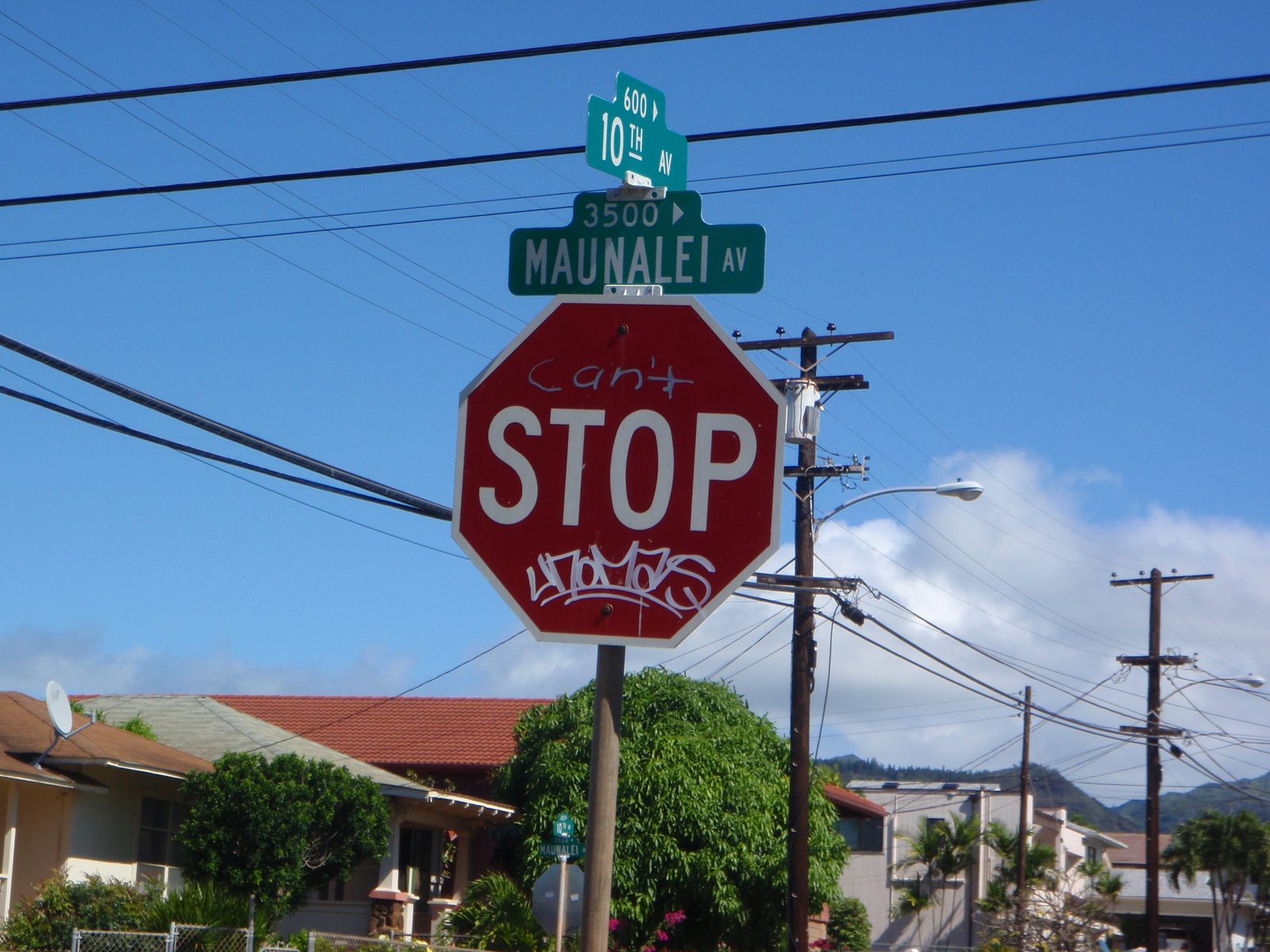 Can't Stop Una Mas apparently.  Stop sign on Lydia's corner.