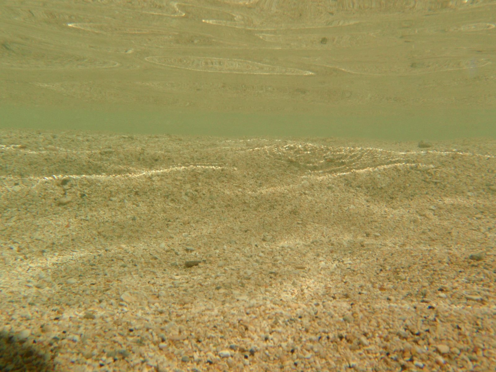 Waikiki sand.