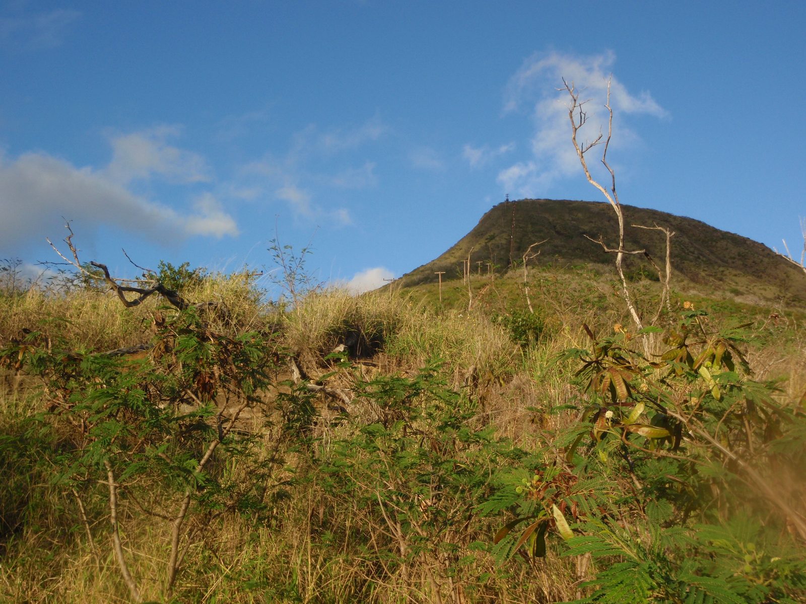 After the gym, I drove to Koko Crater, on the east side of the island to hike to the top and...