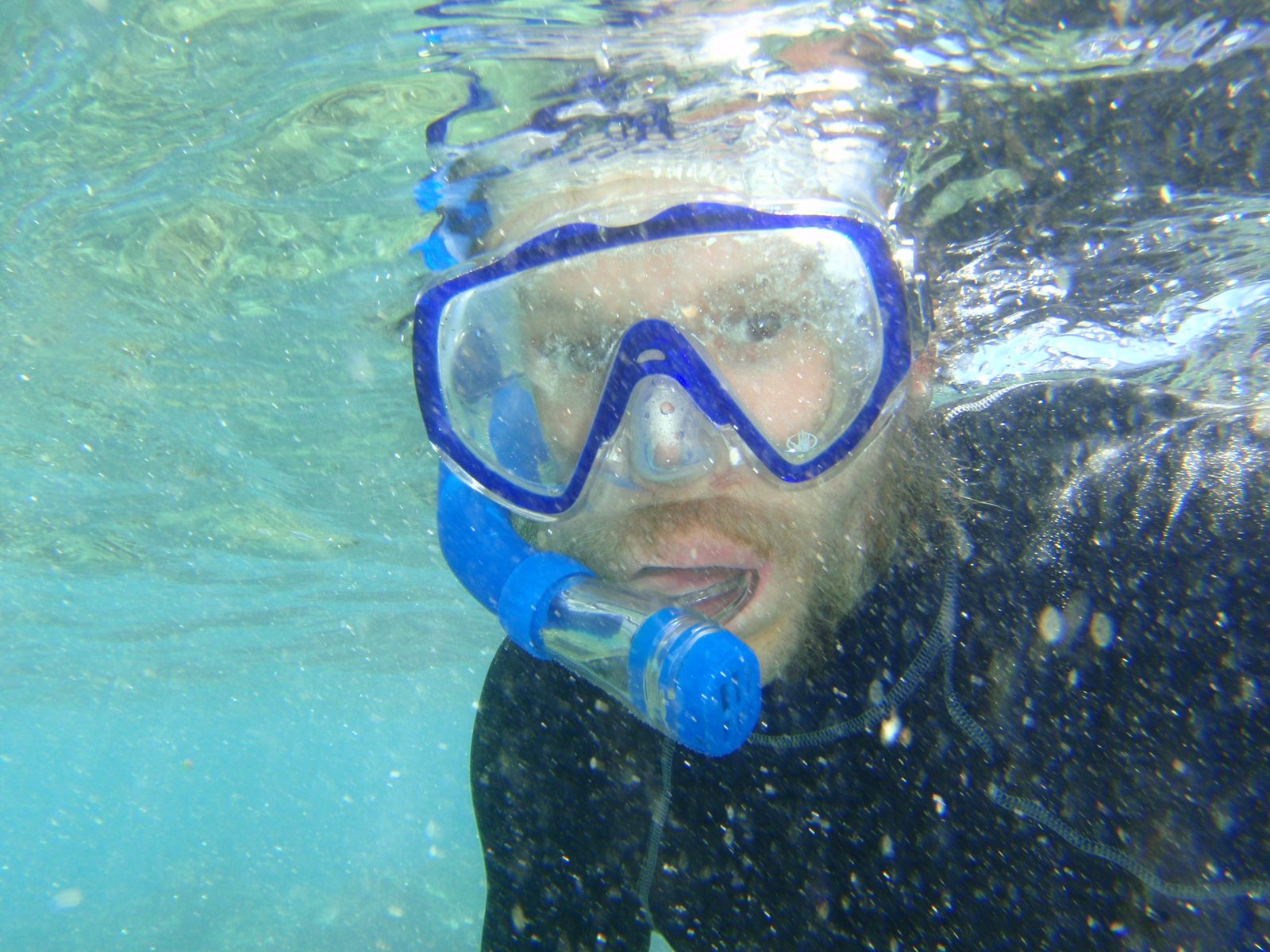 When I had first entered the water, I took out my camera for a test picture or two, and was...