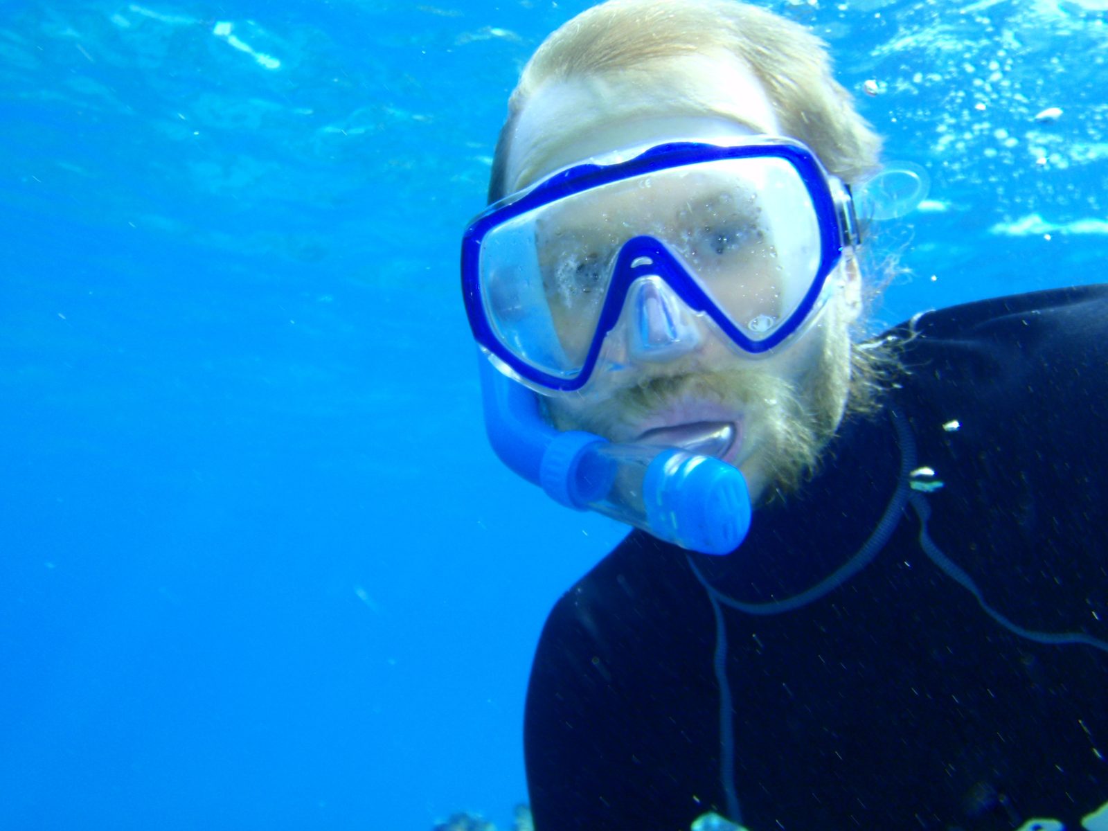 Another self portrait, skin diving below the water.