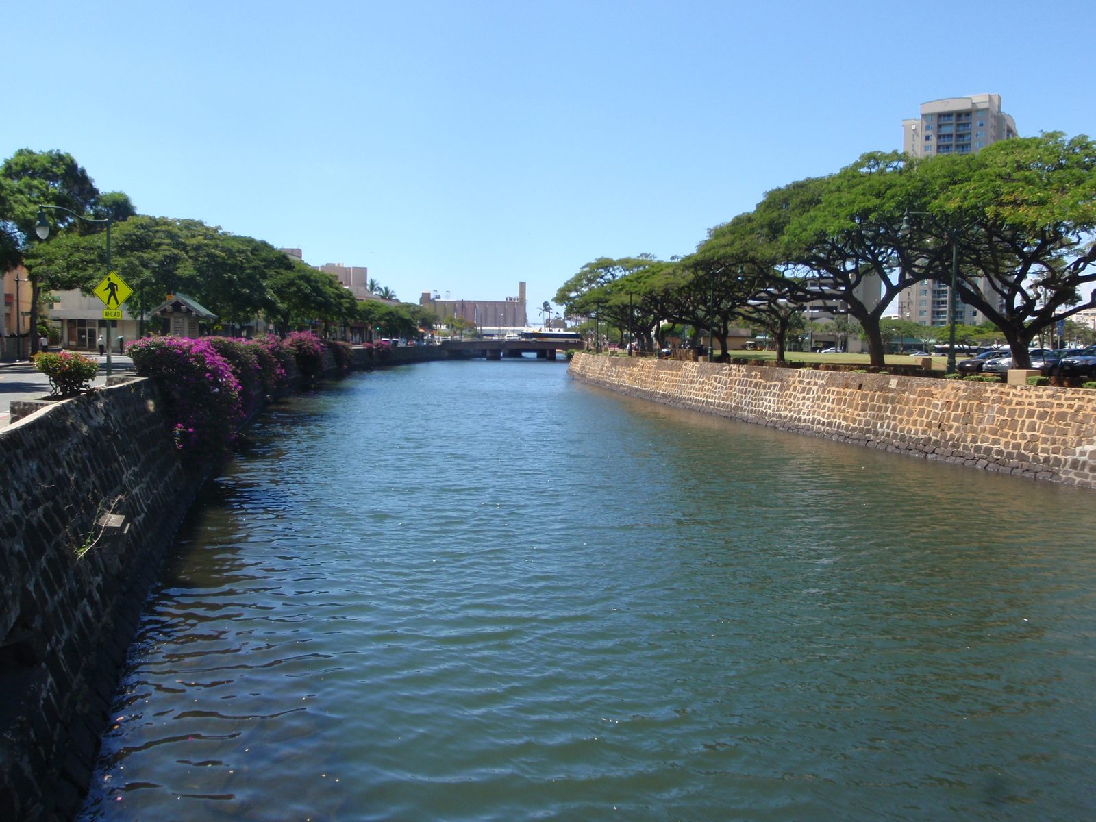 The Nuuanu Stream, next to Chinatown.