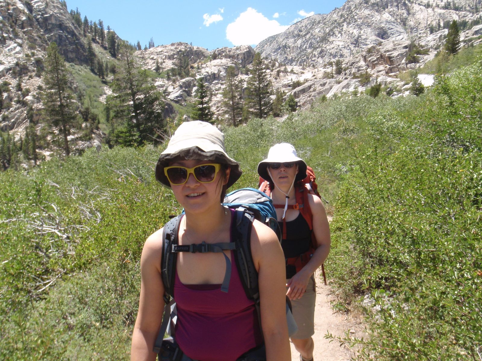 Crossing hot meadows and scrub-brush choked valleys on our way up to higher alpine surroundings...