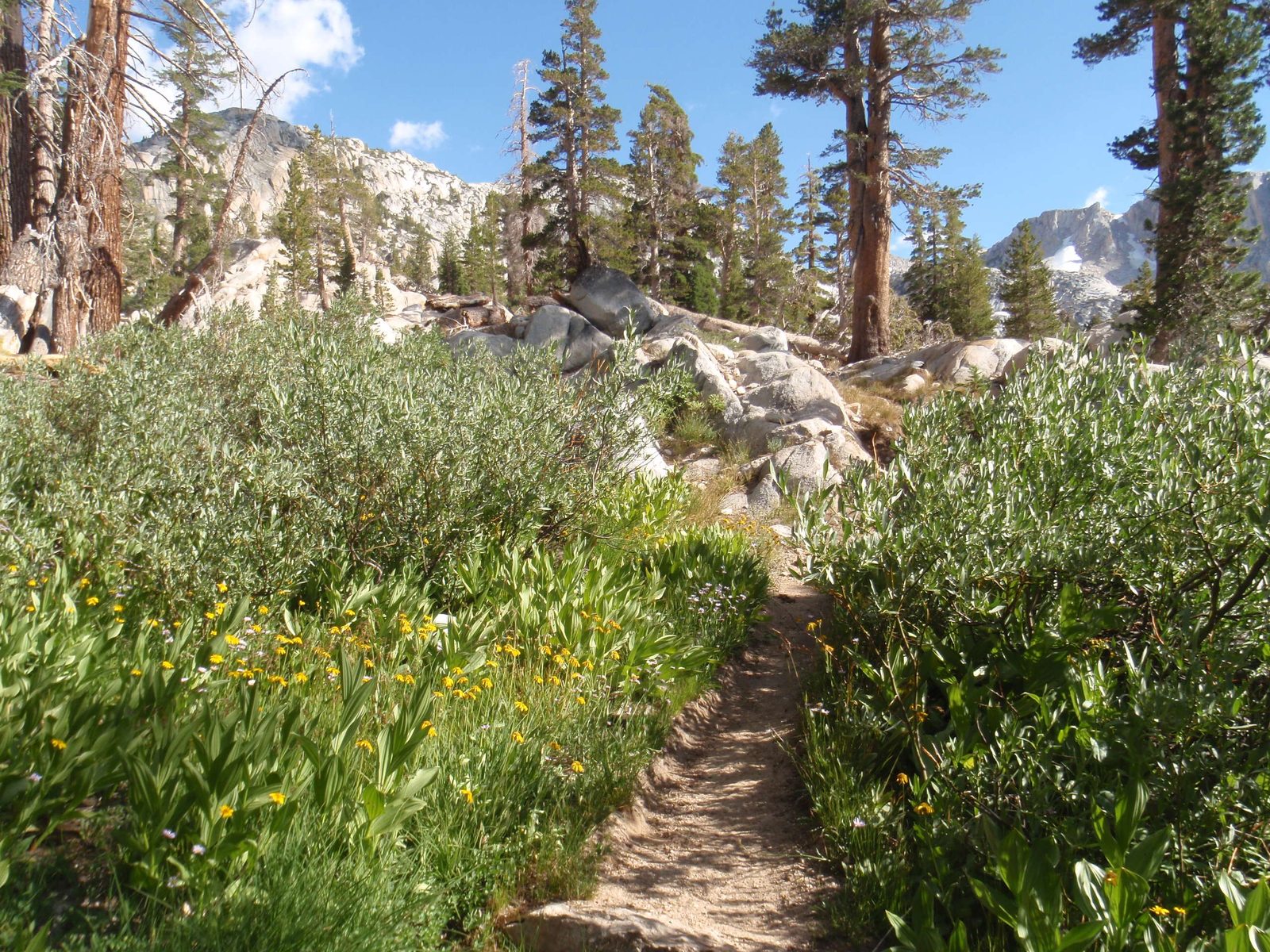 Trail leading to the next set of lakes.