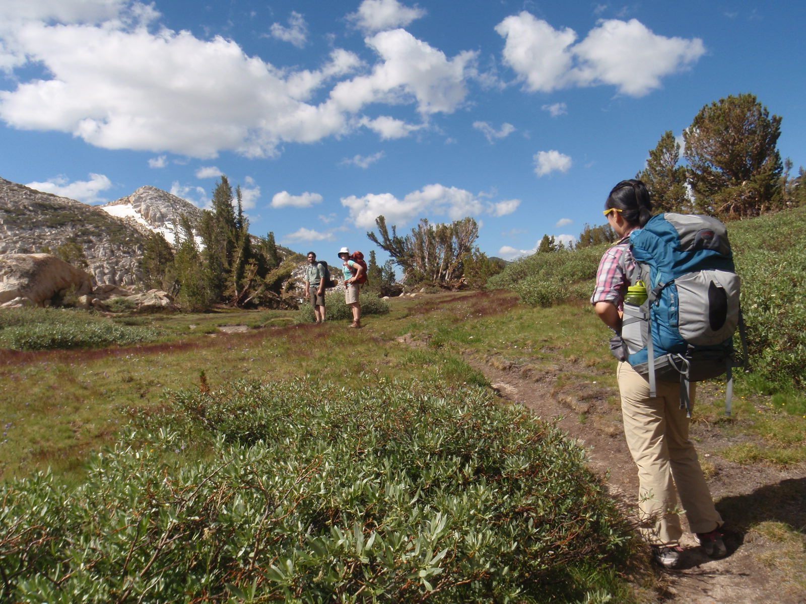 Into alpine meadow territory. My favorite.
