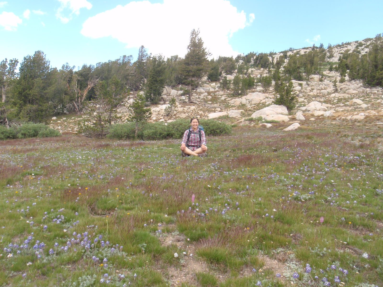 Wildflowers were everywhere and smelled incredibly pungent. It was sort of magical.