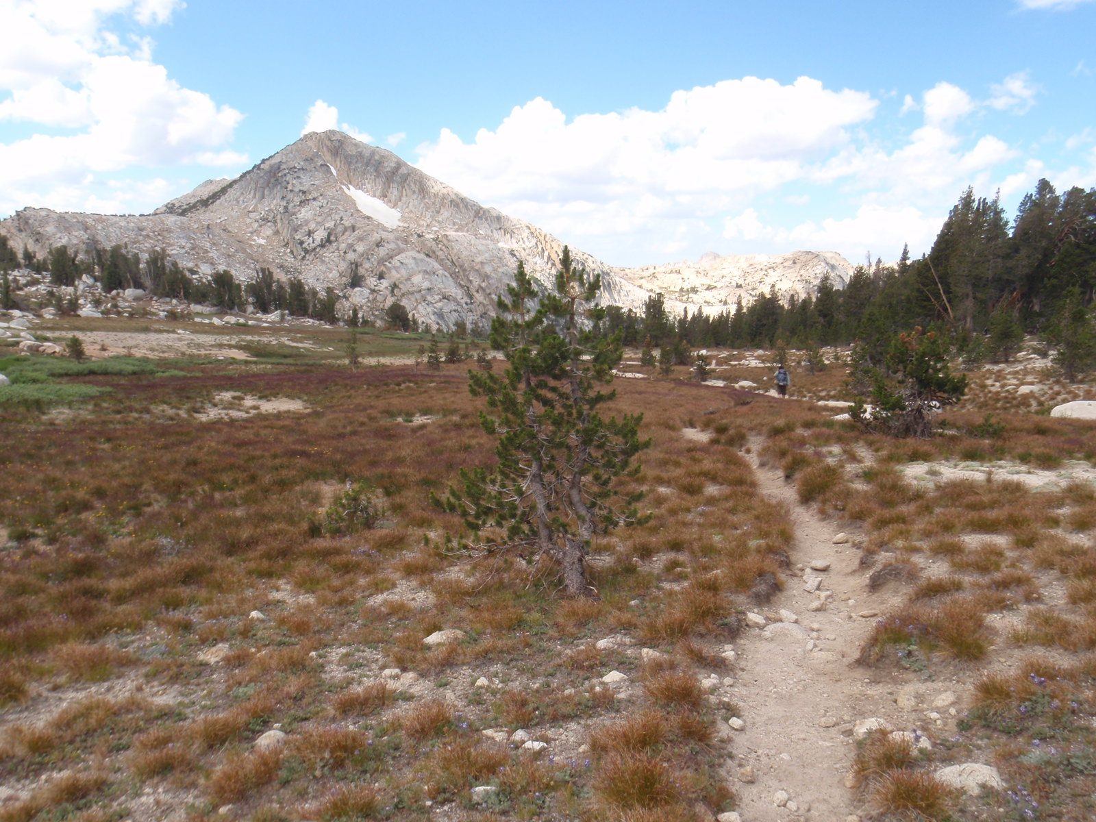 Easy hiking through Yosemite high country. The mountain in the background didn't have a name on...