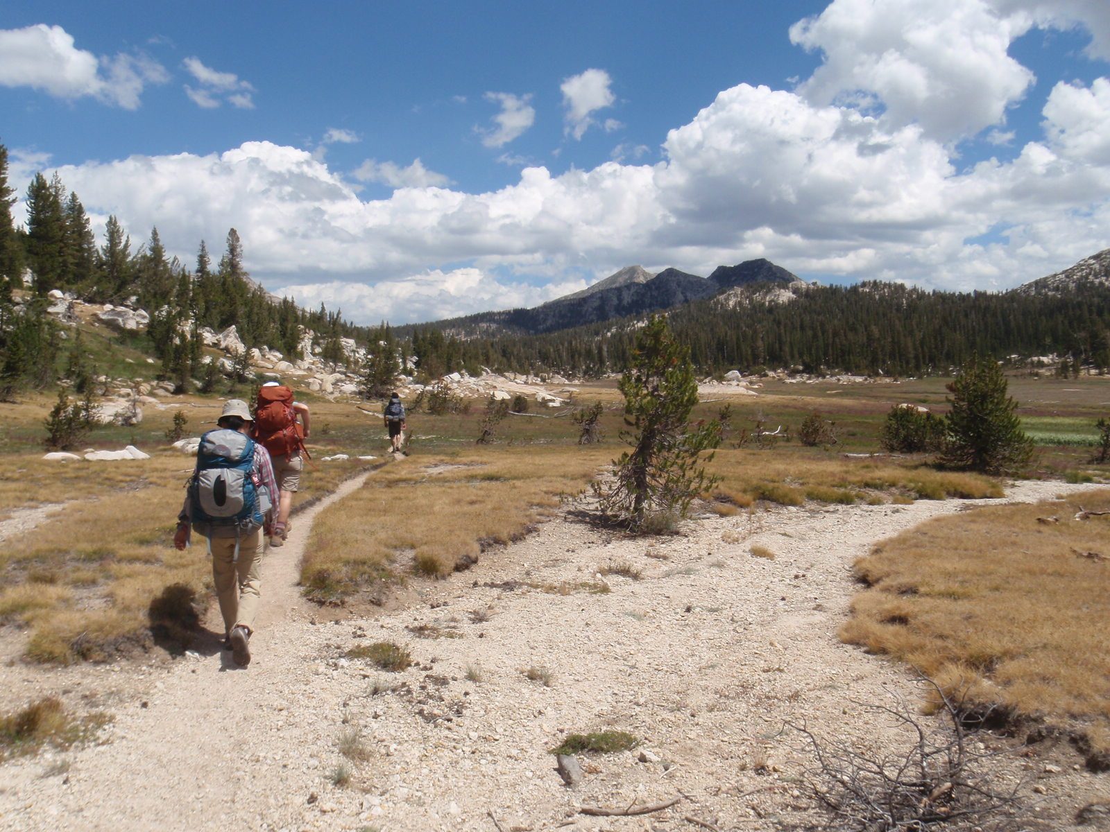 Hiking northeast out of Kerrick Meadow towards Peeler Lake.