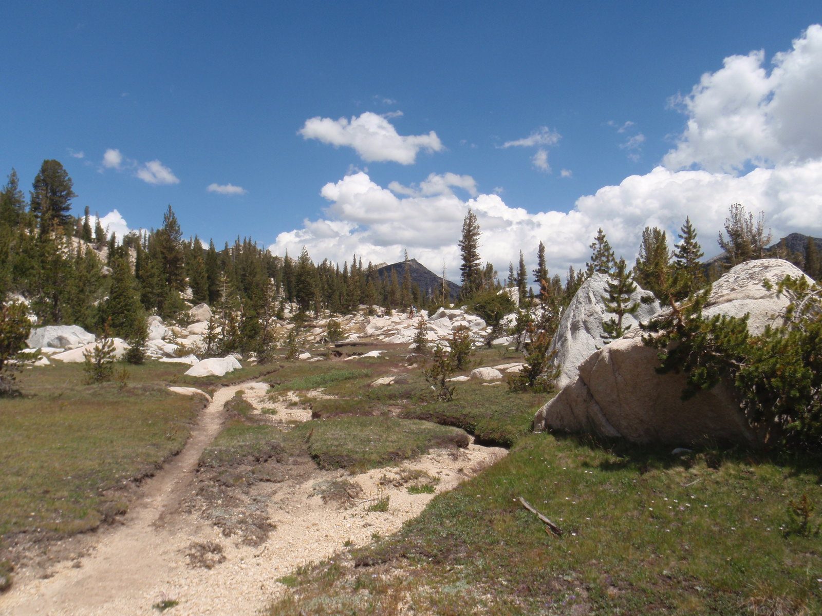 Walking through the tail end of Kerrick Meadows. Group is ahead, fairly small in the center.
