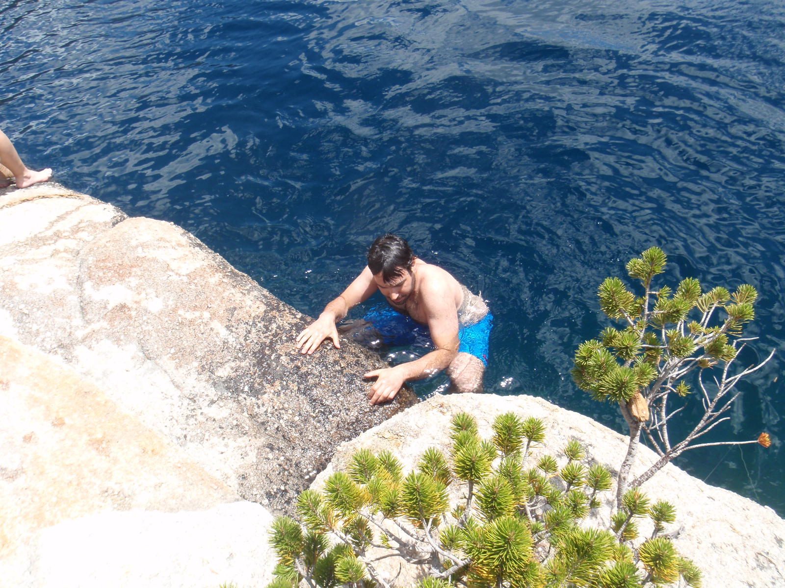 Climbing back ashore.