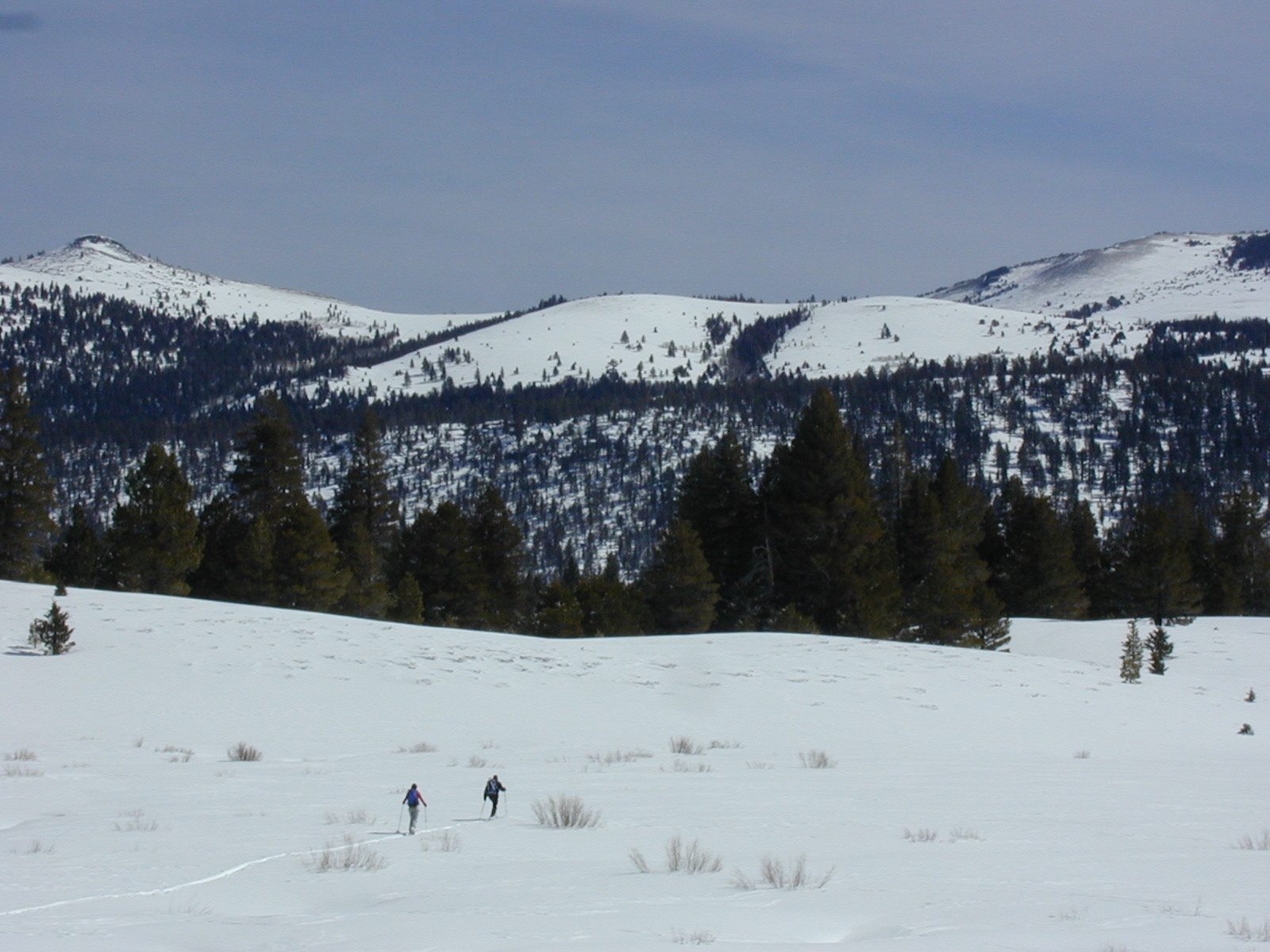 Rachel and Niels east of CA-88 in Hope Valley near the Red Bluff Creek.