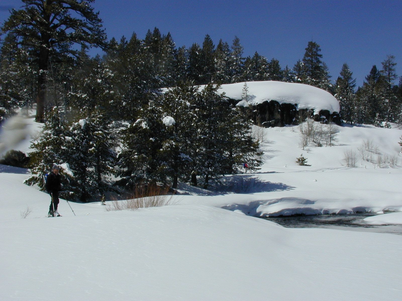 Niels (left) , contemplating a crossing of the mighty Carson River. Also, Rachel (upper left).