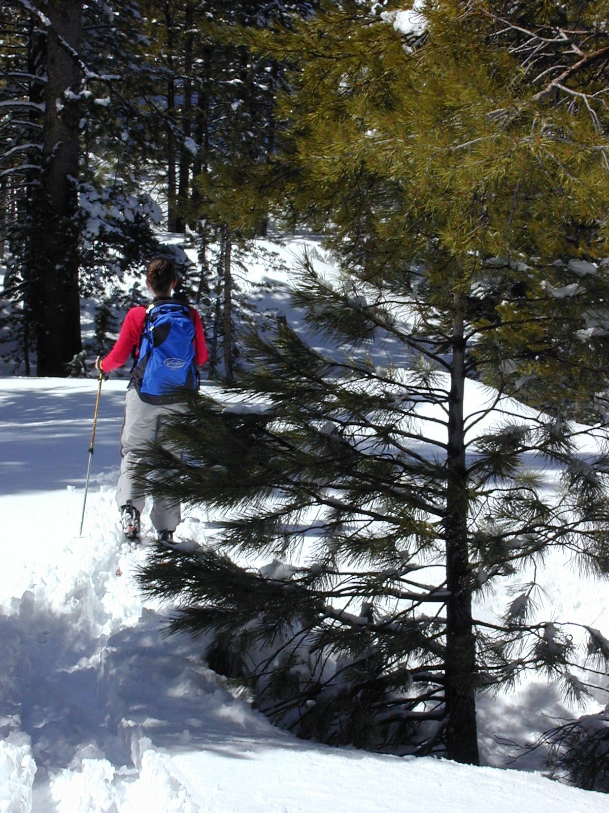 Rachel going up the hill.