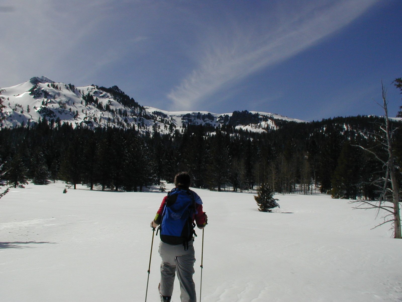 Rachel starting off for the abandoned mine, north of CA-88.