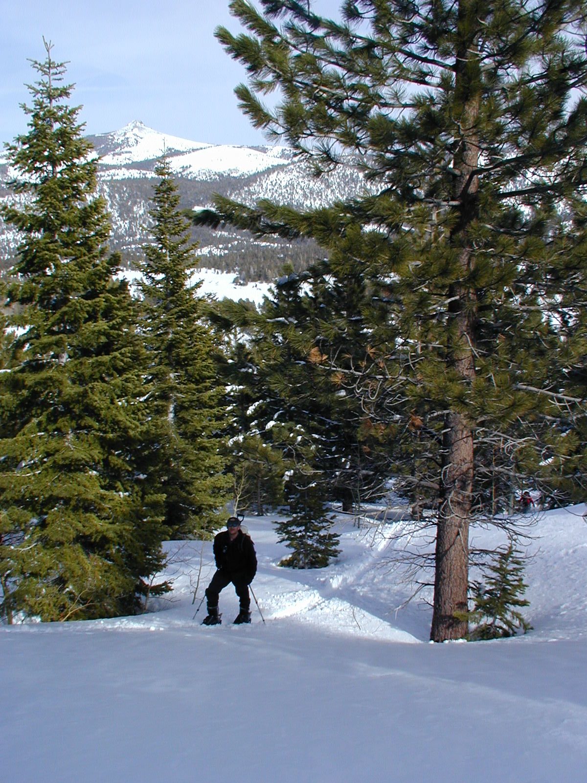 Niels on the trail to the mine.