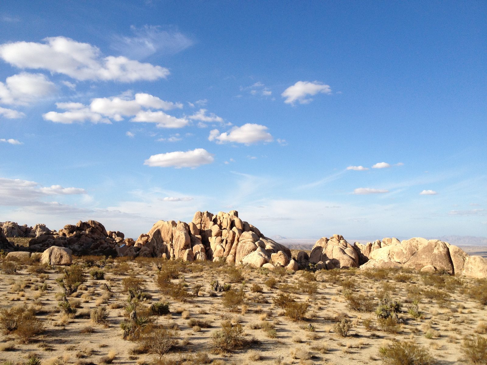 View of our surroundings on Thanksgiving afternoon.