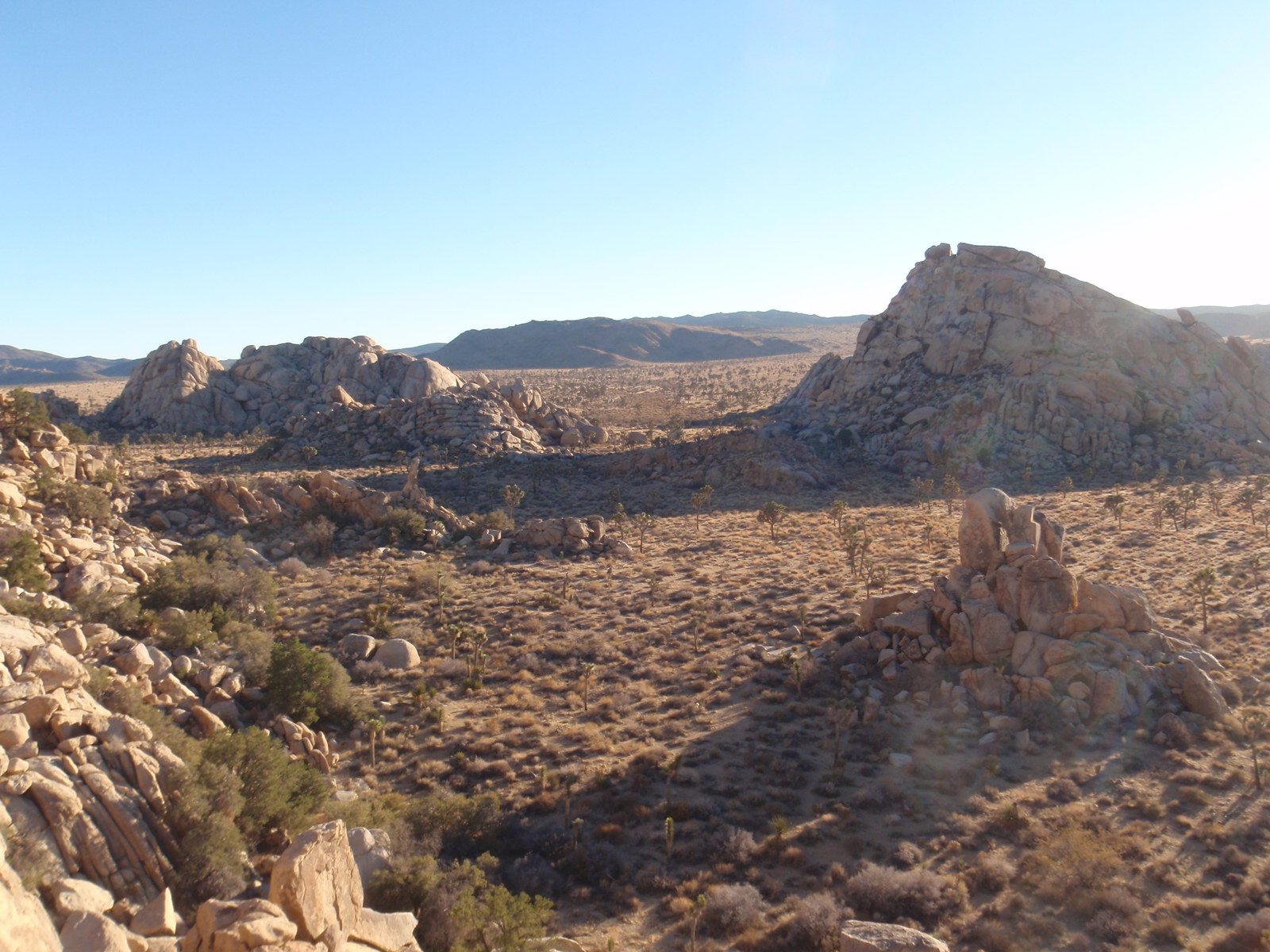 Lost Horse Valley and the Aguille de Joshua Tree (hard to point out, you sort of have to be...