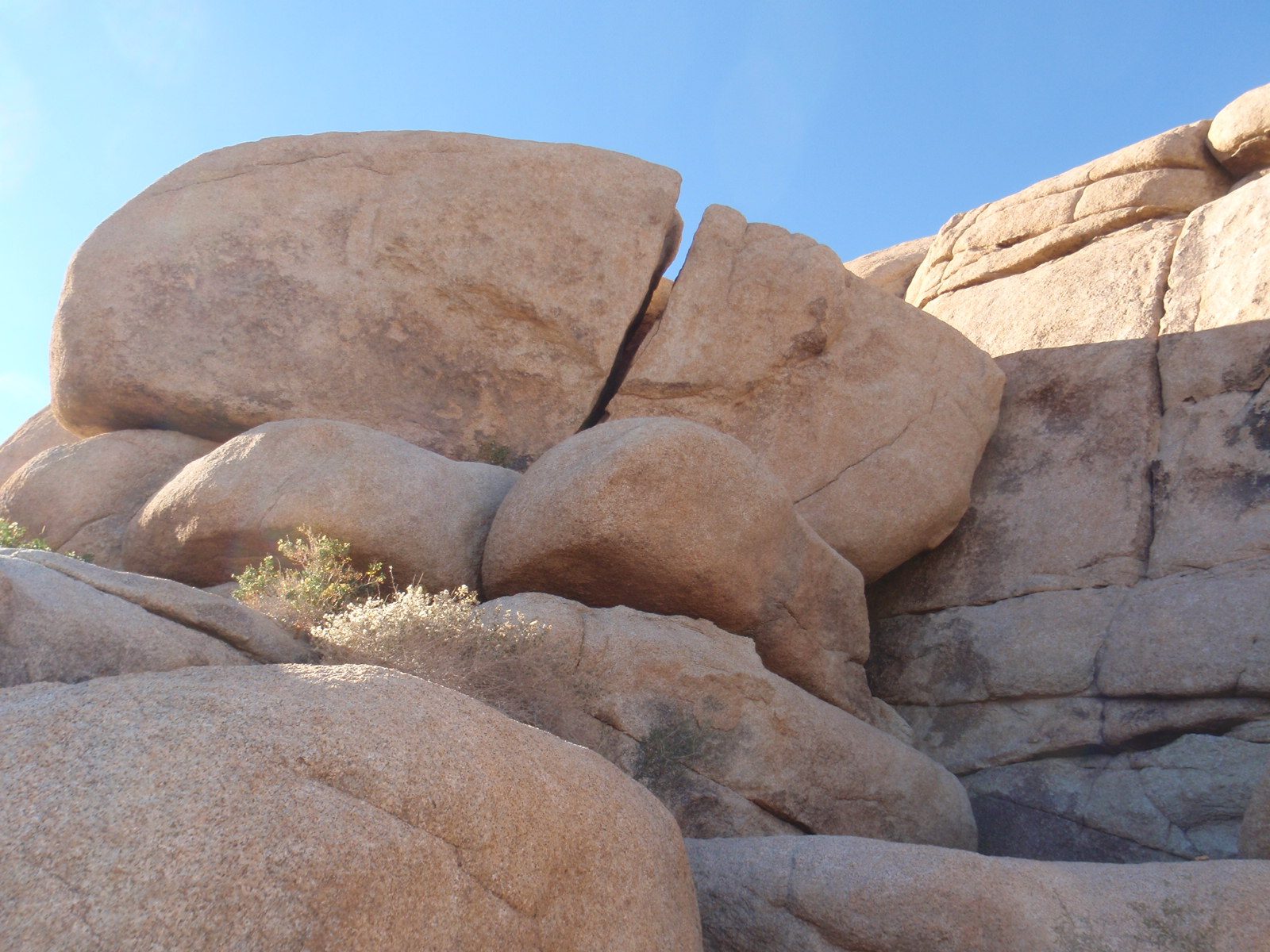 Looks like a neat boulder.