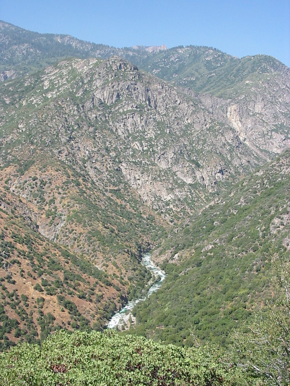 The mighty King's River.
