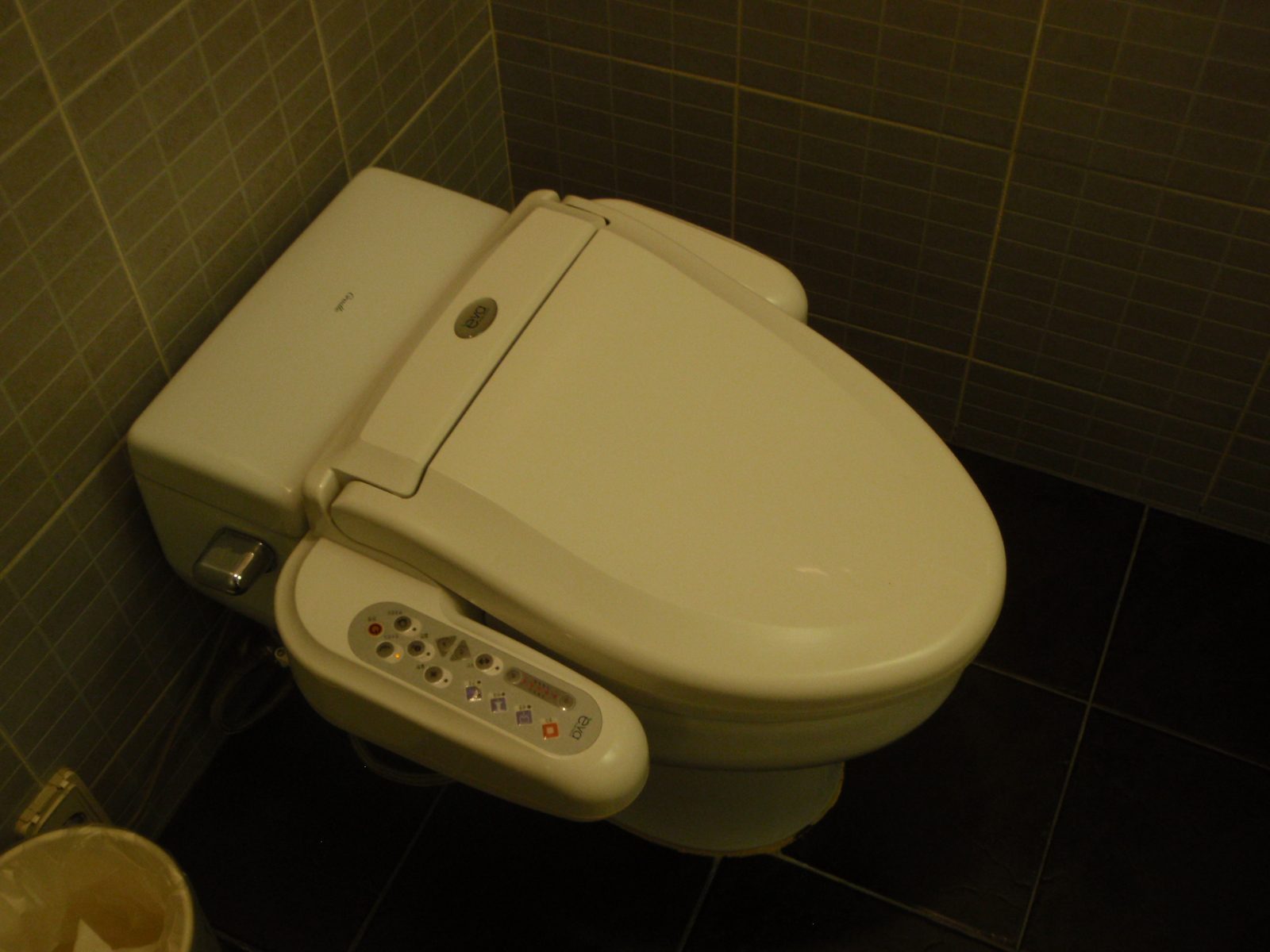 Our toilet.  I have no idea how it works.