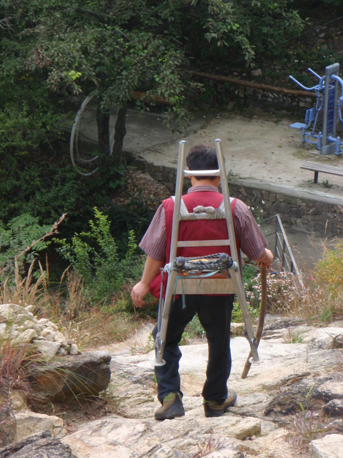 These welded metal "backpacks" were very popular, often seen on the backs of motorbikes: a...