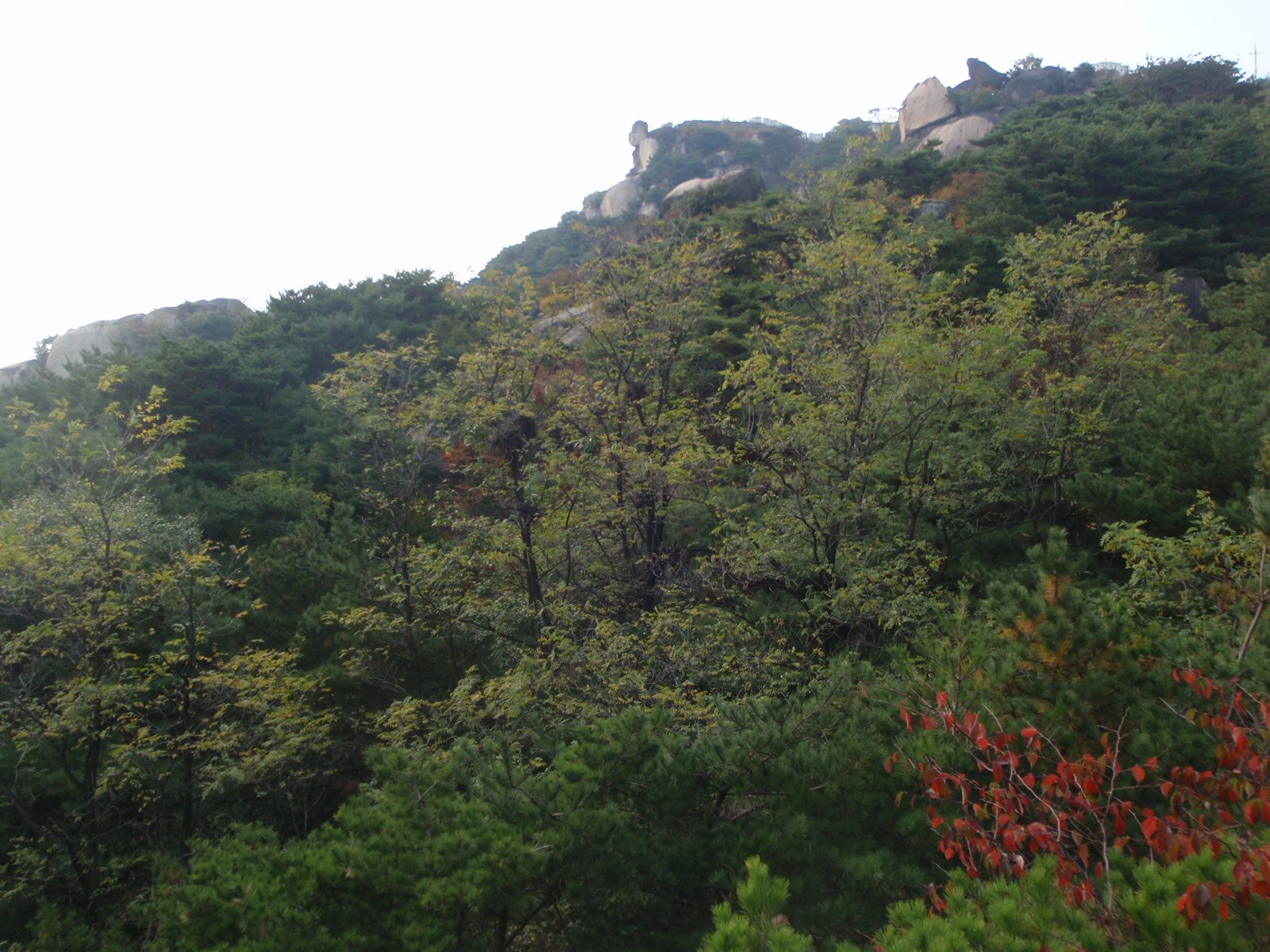 View of the Buddha rock from further away.