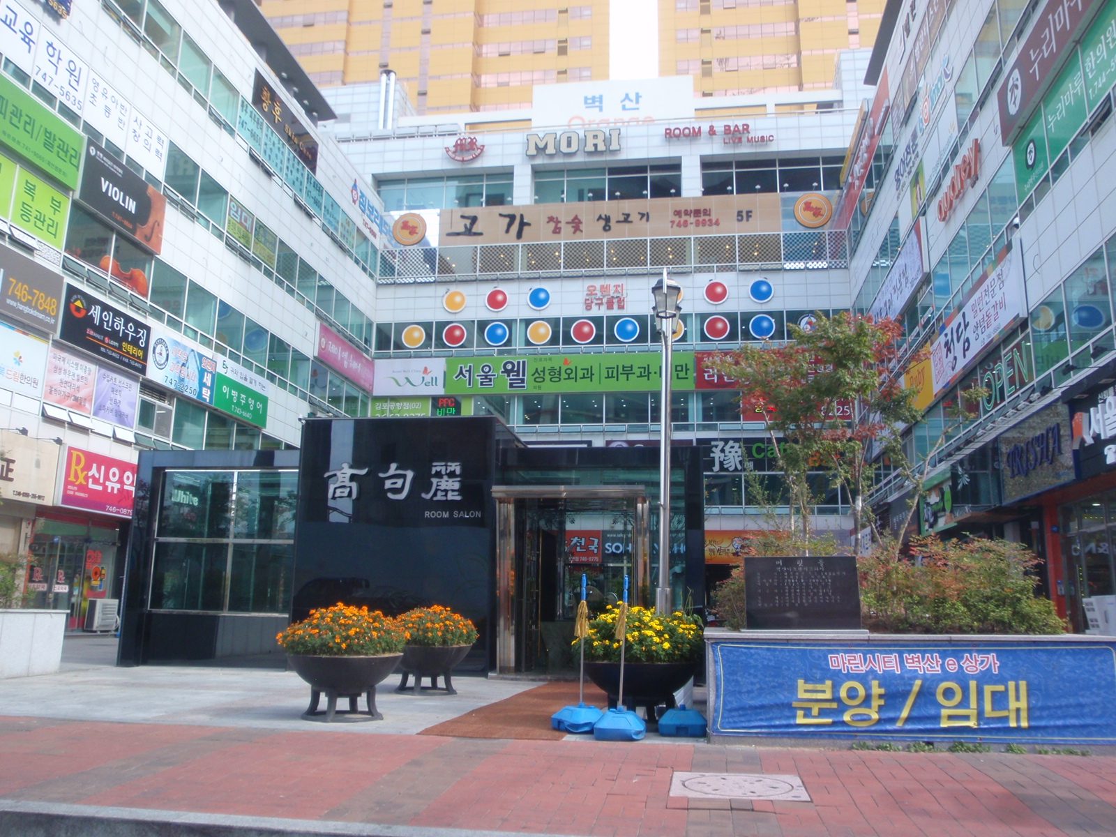 Some overpriced (around $3,000 US per month) store fronts near Monica´s dad´s place that have...