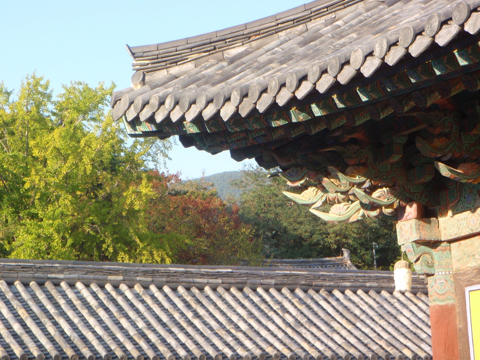 Sorry to include so many shots of the Bulguksa temple, I just found it very pretty.  The light...